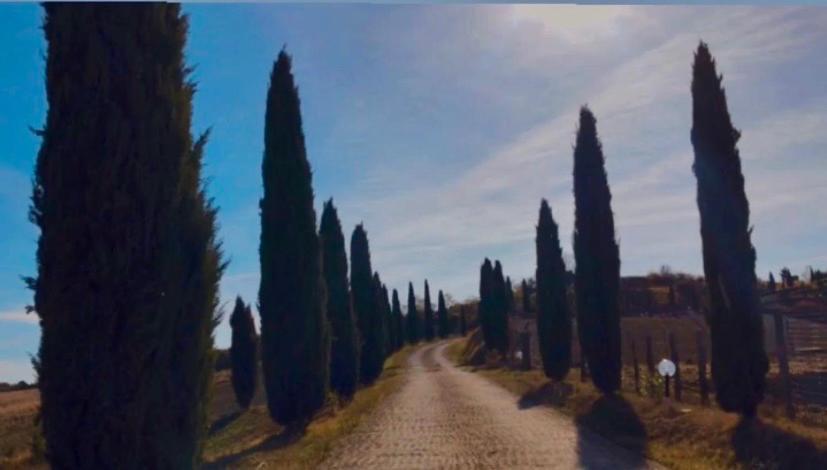 Agriturismo Villa Felice Volterra Eksteriør billede