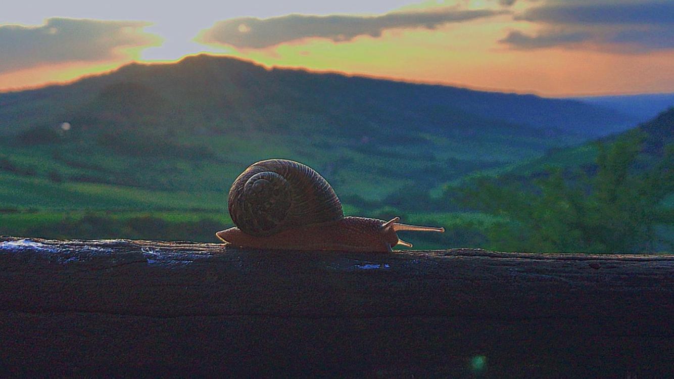 Agriturismo Villa Felice Volterra Eksteriør billede