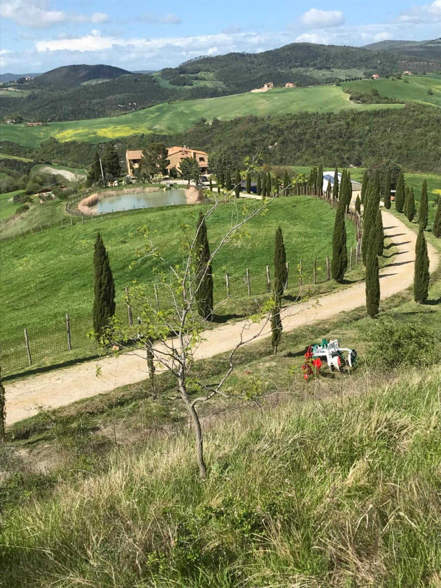 Agriturismo Villa Felice Volterra Eksteriør billede